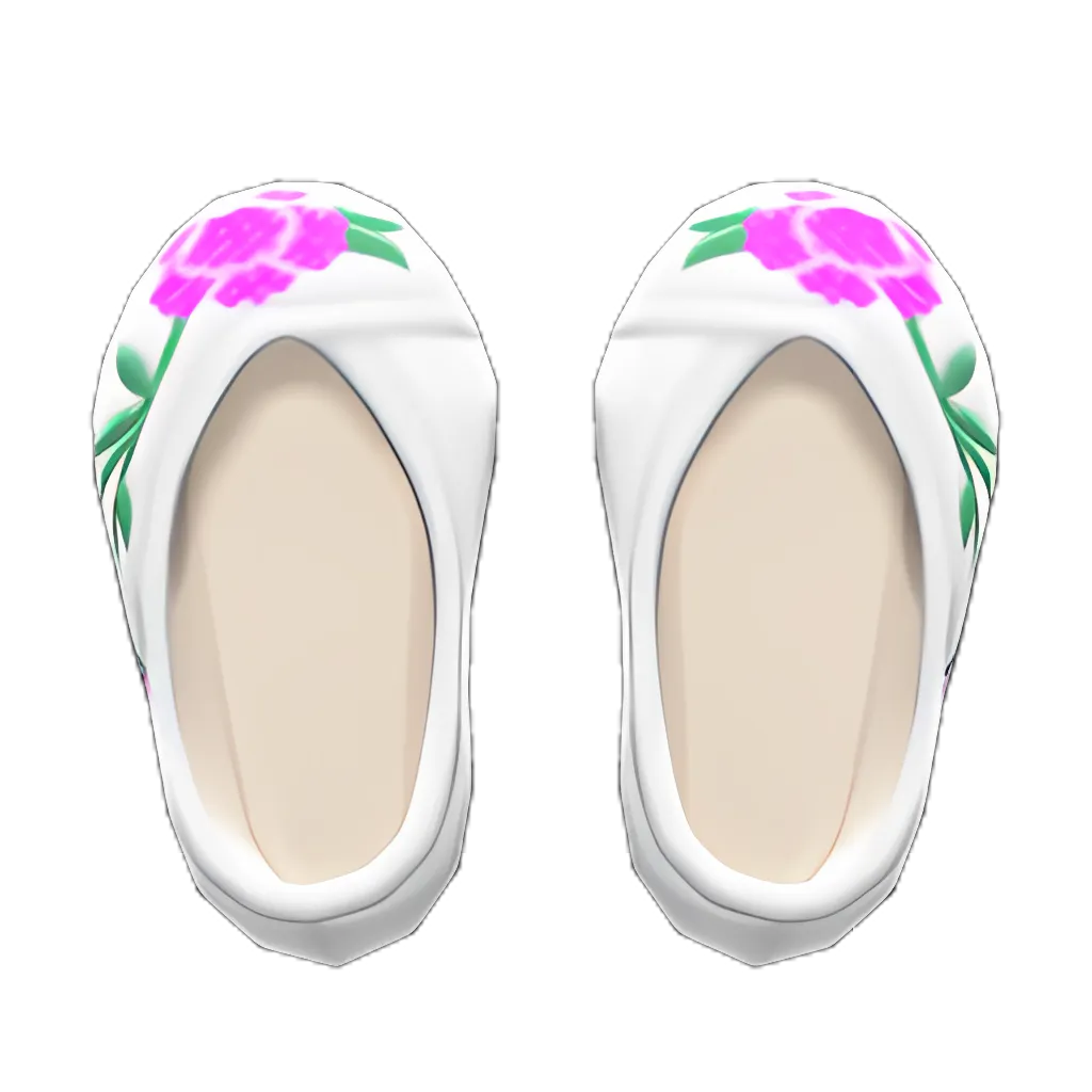 Embroidered Shoes