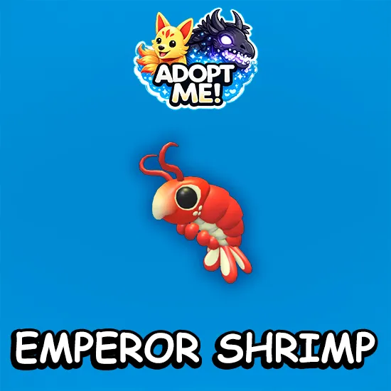 Emperor Shrimp