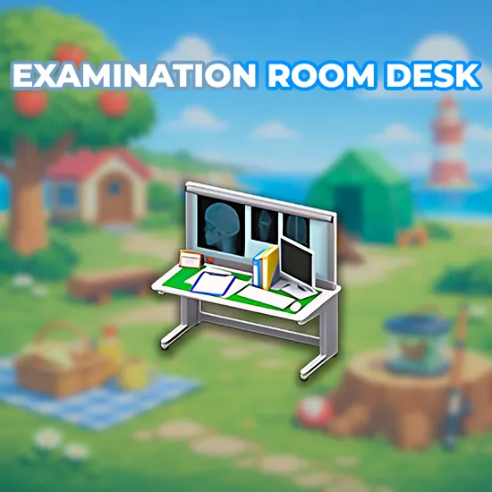 Examination Room Desk