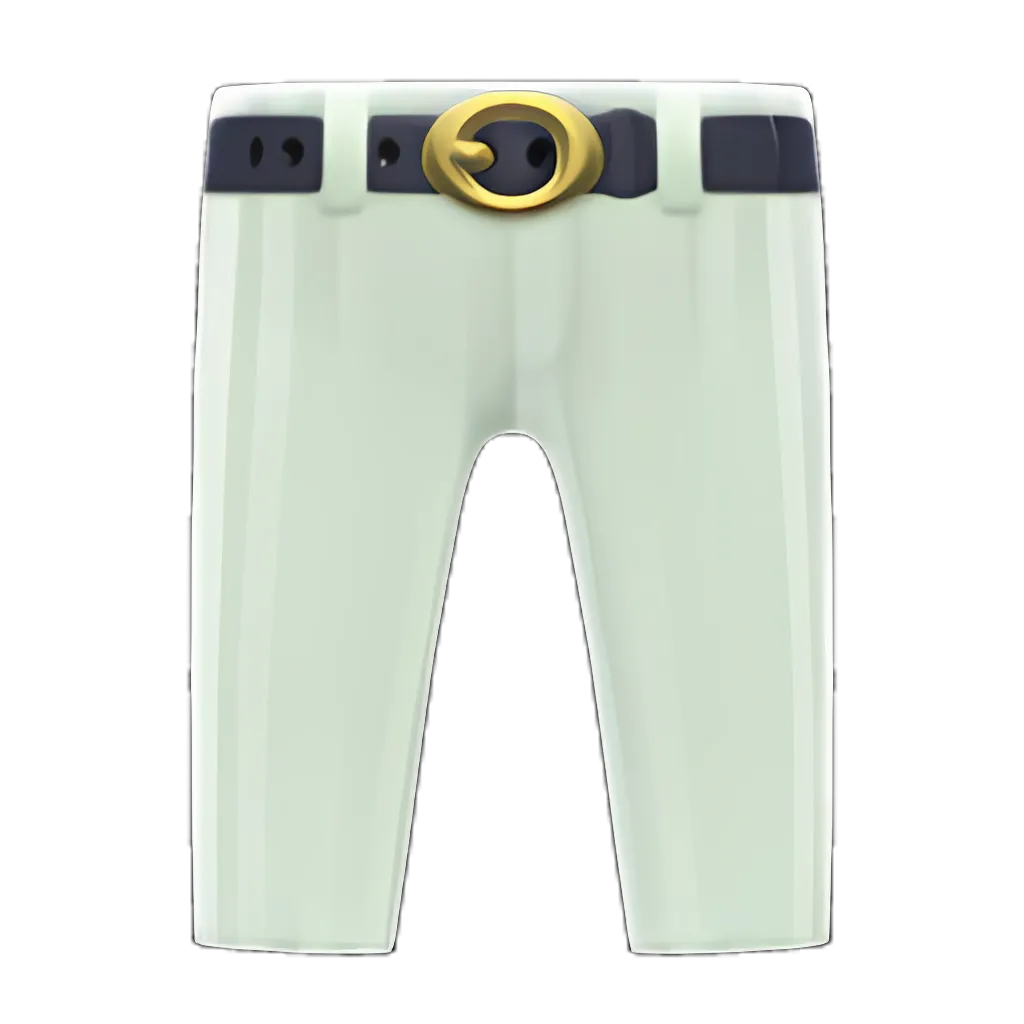 Flashy Slacks