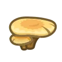 Flat Mushroom