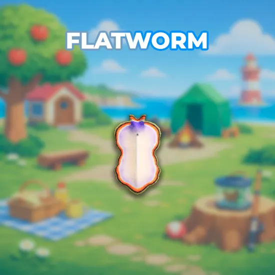 Flatworm