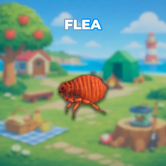 Flea