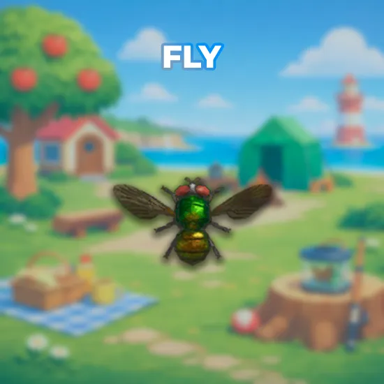 Fly