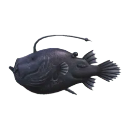 Football Fish