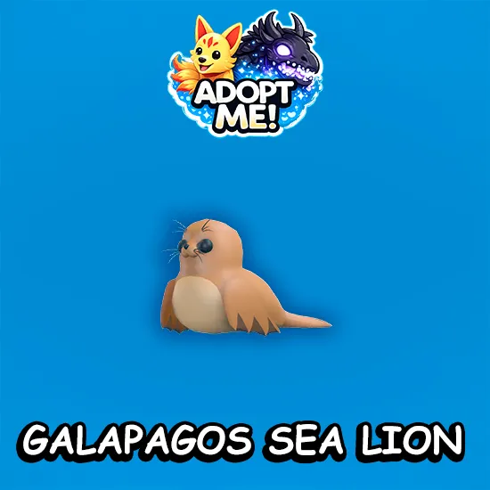 Galapagos Sea Lion