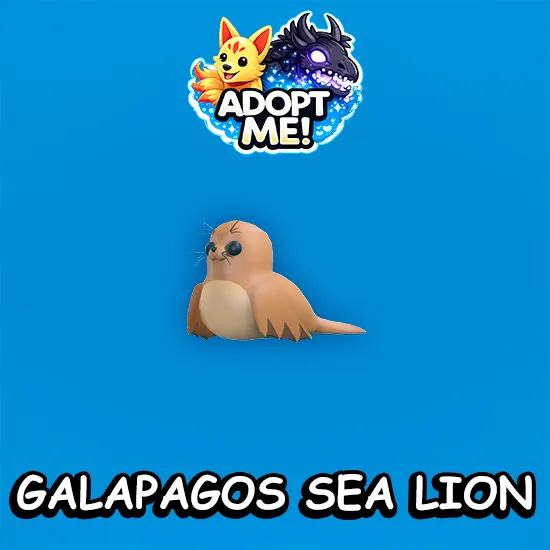 Galapagos Sea Lion