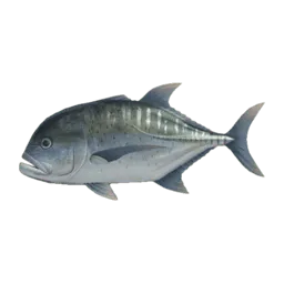 Giant Trevally