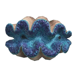 Gigas Giant Clam