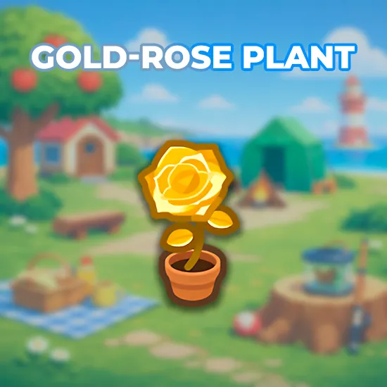 Gold-Rose Plant