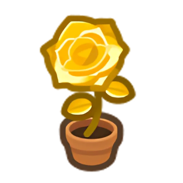 Gold-Rose Plant