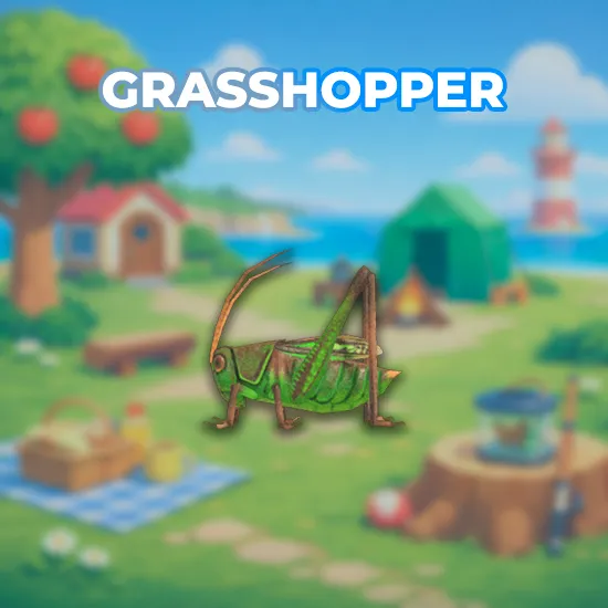 Grasshopper