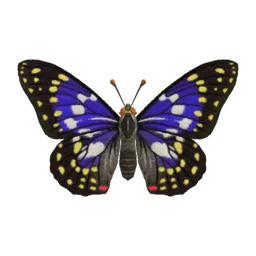 Great Purple Emperor