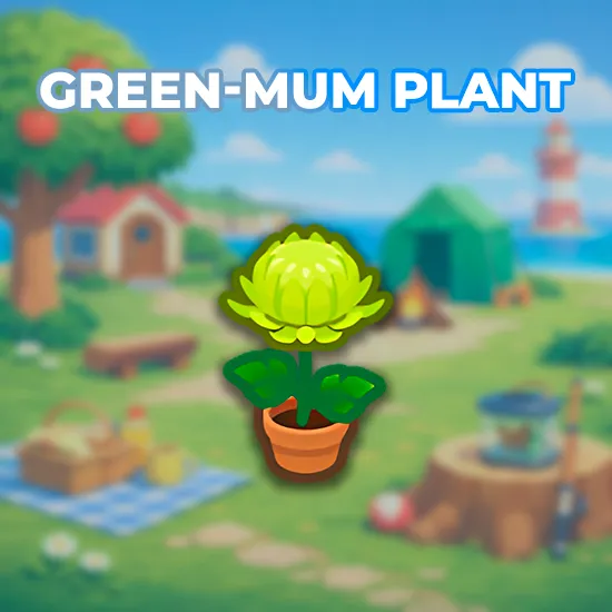 Green-Mum Plant