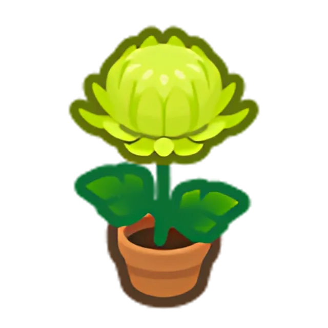 Green-Mum Plant