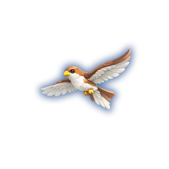 Hawk