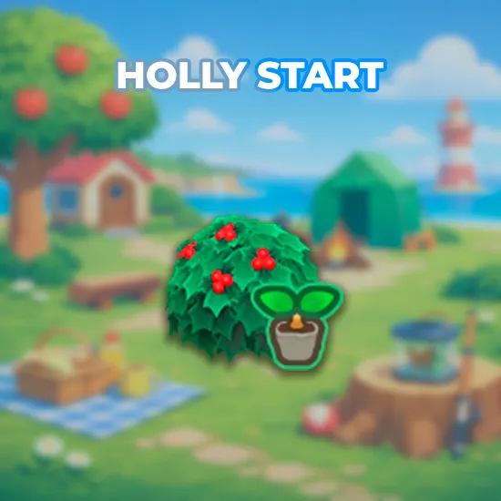 Holly Start