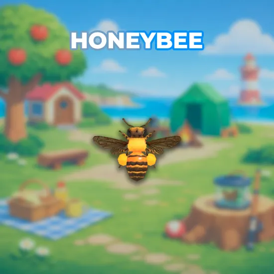 Honeybee
