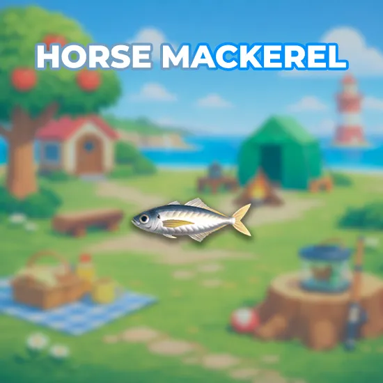 Horse Mackerel