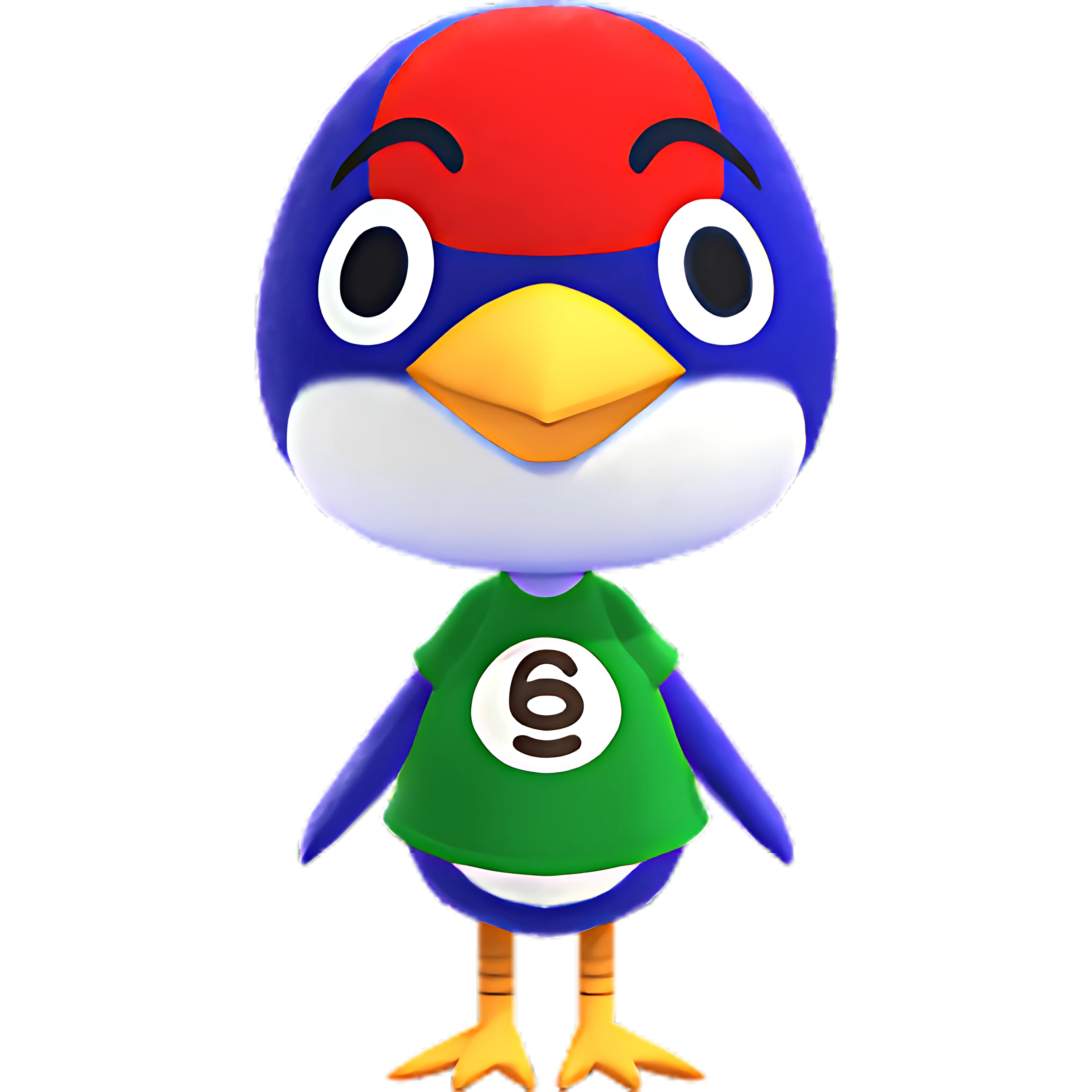 Jay