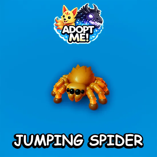 Jumping Spider