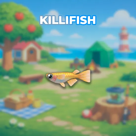 Killifish