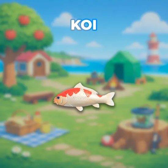 Koi