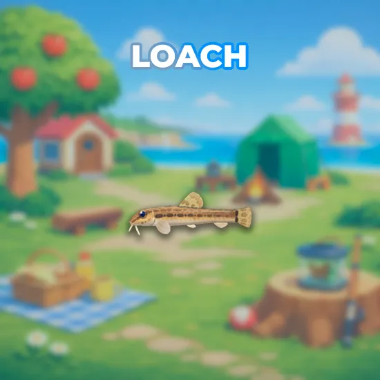 Loach