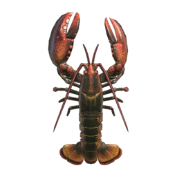 Lobster