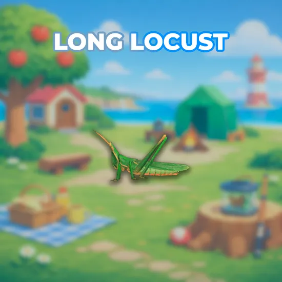 Long Locust