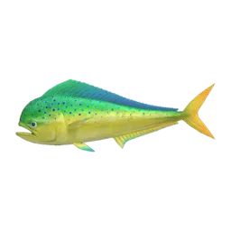 Mahi-Mahi