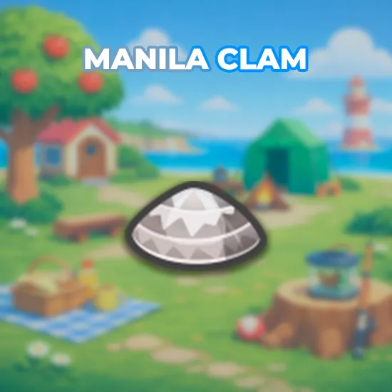 Manila Clam