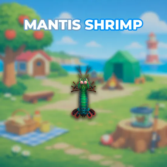 Mantis Shrimp