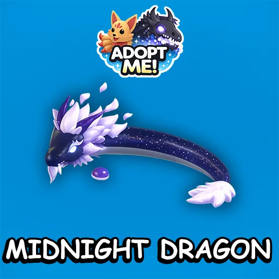 Midnight Dragon