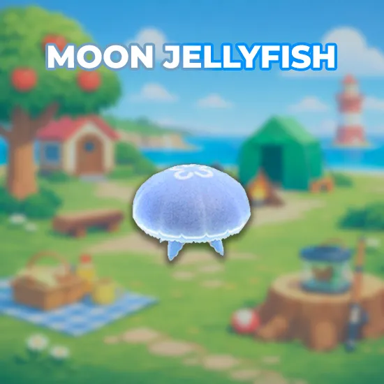 Moon Jellyfish