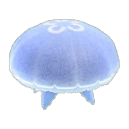 Moon Jellyfish