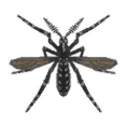 Mosquito