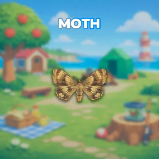 Moth