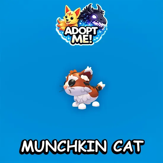 Munchkin Cat