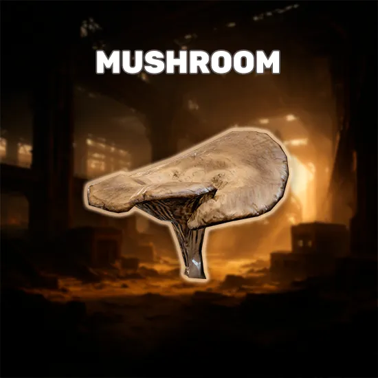 Mushroom