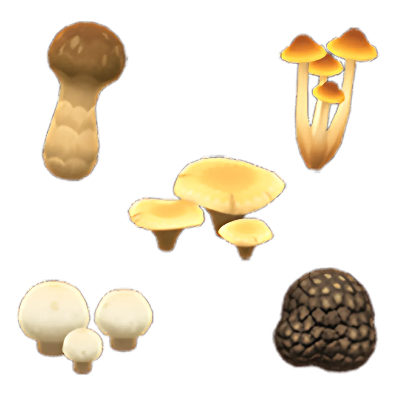 Mushroom Pack