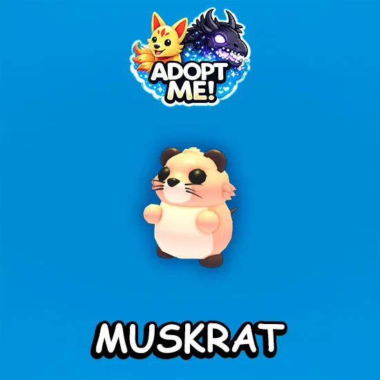 Muskrat