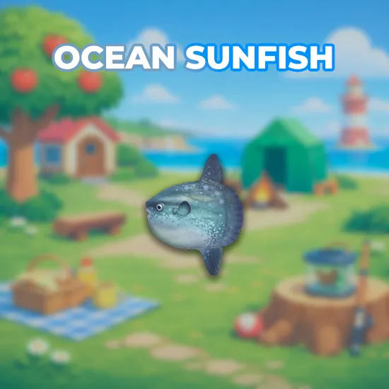 Ocean Sunfish