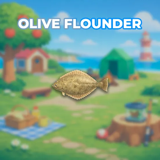 Olive Flounder