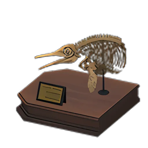 Ophthalmo Skull