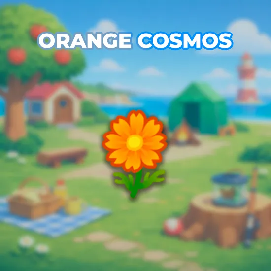 Orange Cosmos