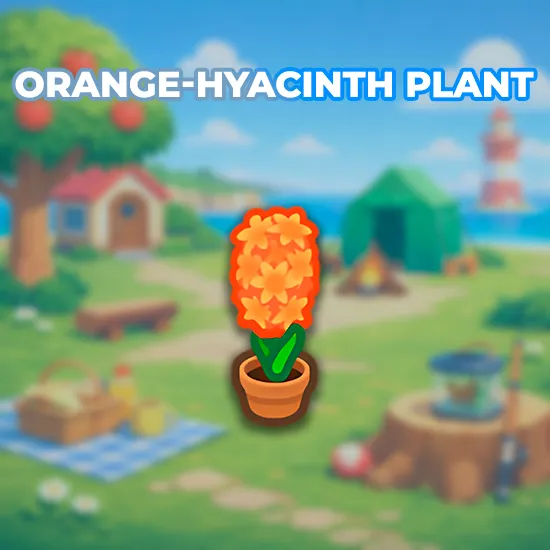 Orange-Hyacinth Plant
