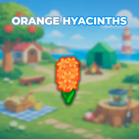 Orange Hyacinths