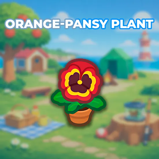 Orange-Pansy Plant