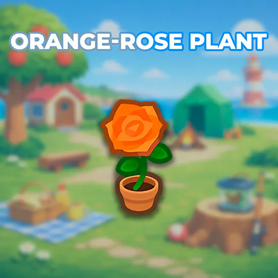Orange-Rose Plant